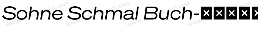 Sohne Schmal Buch字体转换
